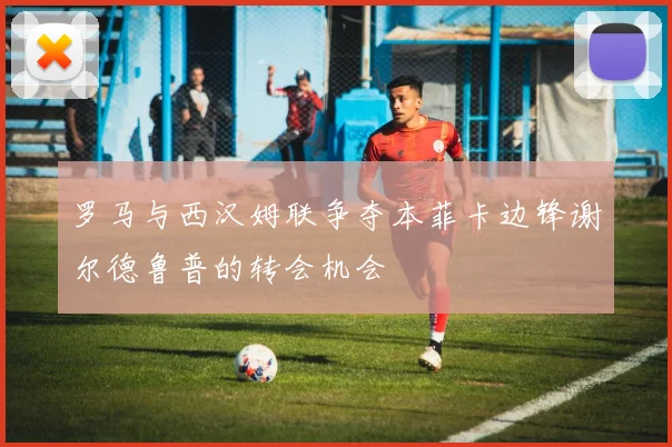罗马与西汉姆联争夺本菲卡边锋谢尔德鲁普的转会机会