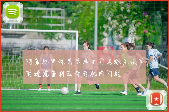 阿莱格里称恩昆库主罚点球无误同时透露普利西奇有肌肉问题